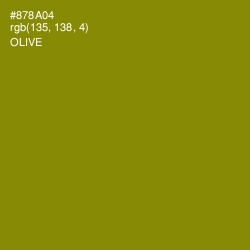 #878A04 - Olive Color Image