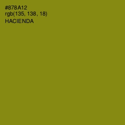 #878A12 - Hacienda Color Image