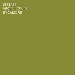 #878A34 - Sycamore Color Image