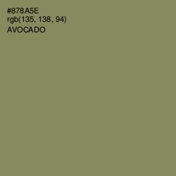 #878A5E - Avocado Color Image