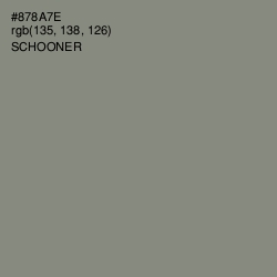#878A7E - Schooner Color Image