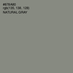 #878A80 - Natural Gray Color Image