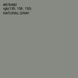 #878A82 - Natural Gray Color Image