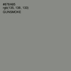 #878A85 - Gunsmoke Color Image