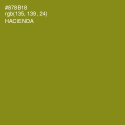 #878B18 - Hacienda Color Image
