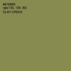 #878B50 - Clay Creek Color Image