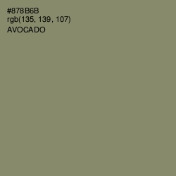 #878B6B - Avocado Color Image