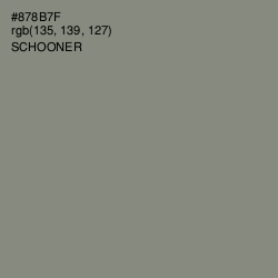 #878B7F - Schooner Color Image