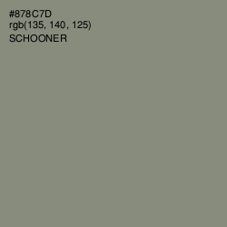 #878C7D - Schooner Color Image