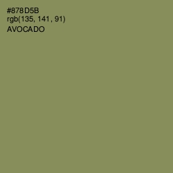 #878D5B - Avocado Color Image