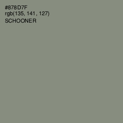 #878D7F - Schooner Color Image