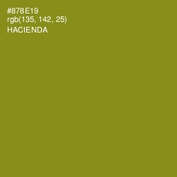 #878E19 - Hacienda Color Image