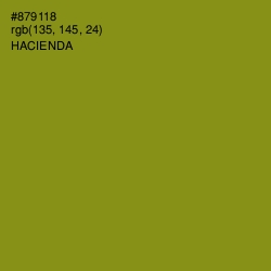 #879118 - Hacienda Color Image