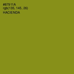 #87911A - Hacienda Color Image