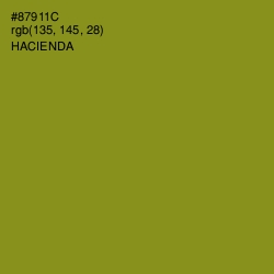 #87911C - Hacienda Color Image