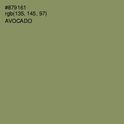 #879161 - Avocado Color Image