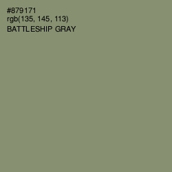 #879171 - Battleship Gray Color Image