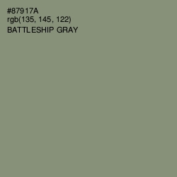 #87917A - Battleship Gray Color Image