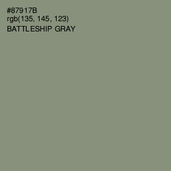 #87917B - Battleship Gray Color Image