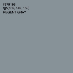 #879198 - Regent Gray Color Image