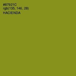 #87921C - Hacienda Color Image
