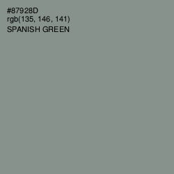 #87928D - Spanish Green Color Image