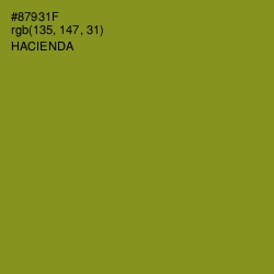 #87931F - Hacienda Color Image