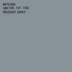#879399 - Regent Gray Color Image