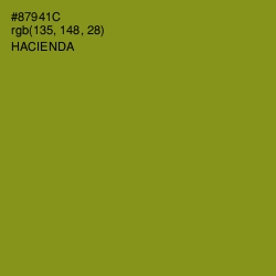 #87941C - Hacienda Color Image