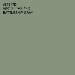 #87947D - Battleship Gray Color Image