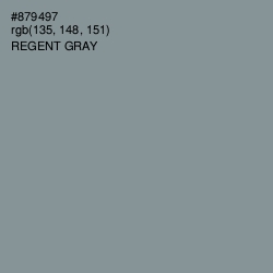 #879497 - Regent Gray Color Image