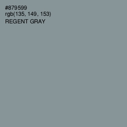 #879599 - Regent Gray Color Image