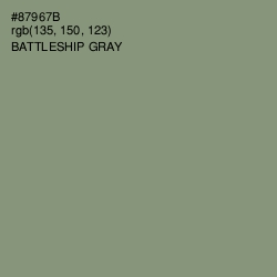 #87967B - Battleship Gray Color Image