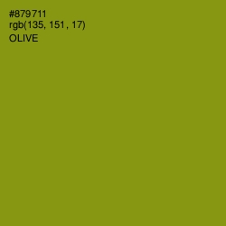 #879711 - Olive Color Image