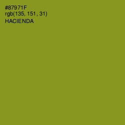 #87971F - Hacienda Color Image