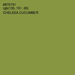 #879741 - Chelsea Cucumber Color Image