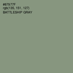 #87977F - Battleship Gray Color Image