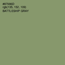 #87986D - Battleship Gray Color Image