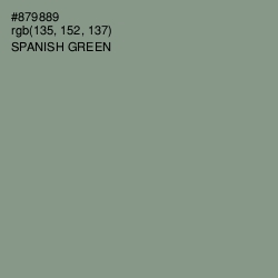 #879889 - Spanish Green Color Image