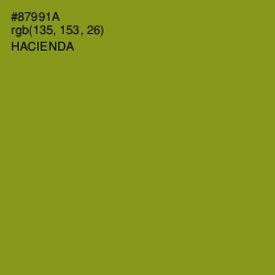 #87991A - Hacienda Color Image