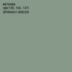 #879989 - Spanish Green Color Image