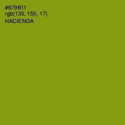 #879B11 - Hacienda Color Image
