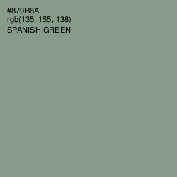 #879B8A - Spanish Green Color Image