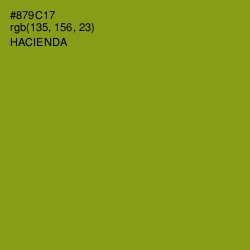 #879C17 - Hacienda Color Image