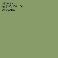 #879C68 - Avocado Color Image