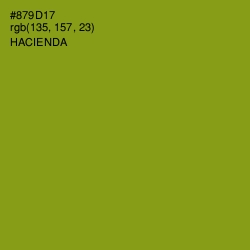 #879D17 - Hacienda Color Image