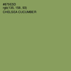 #879E5D - Chelsea Cucumber Color Image