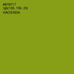 #879F17 - Hacienda Color Image