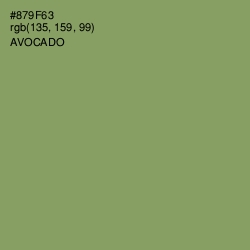 #879F63 - Avocado Color Image