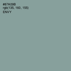 #87A09B - Envy Color Image